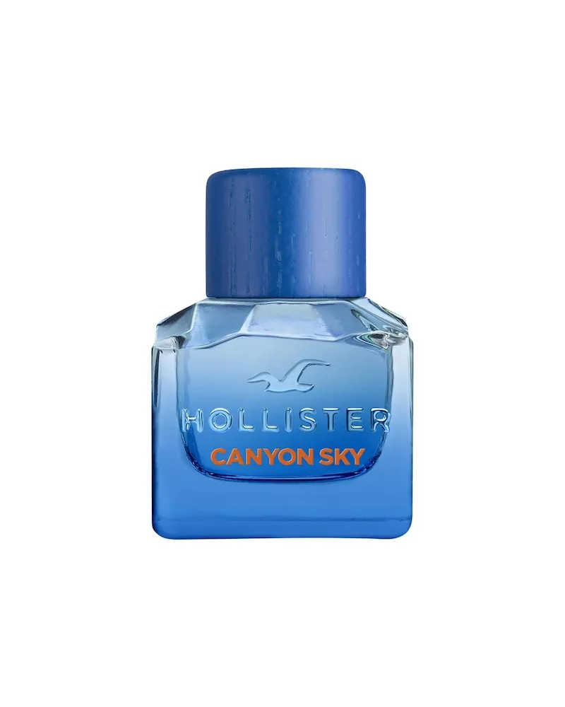 Hollister Herrenduefte Canyon-SkyEau de Toilette Spray 393,00 € / 1 l 