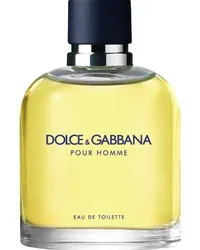 Dolce & Gabbana Herrendüfte Pour Homme Eau de Toilette Spray 