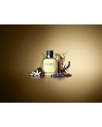 Dolce & Gabbana Herrendüfte Pour Homme Eau de Toilette Spray 