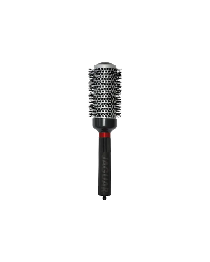 Jaguar Haarstyling BuerstenT 350 20,11 