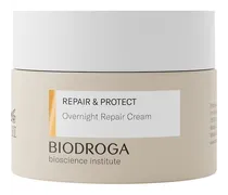 Biodroga Bioscience Repair & Protect Overnight Repair Cream