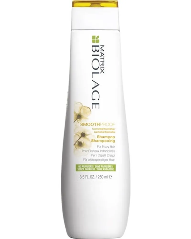 BIOLAGE Collection SmoothProof Shampoo 