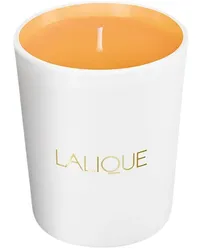 Lalique Kollektionen Les Compositions Parfumées Sweet AmberCandle 