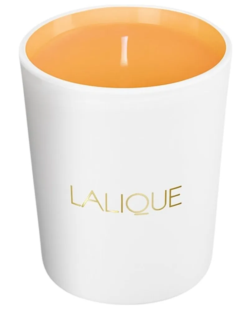 Lalique Kollektionen Les Compositions Parfumées Sweet AmberCandle 