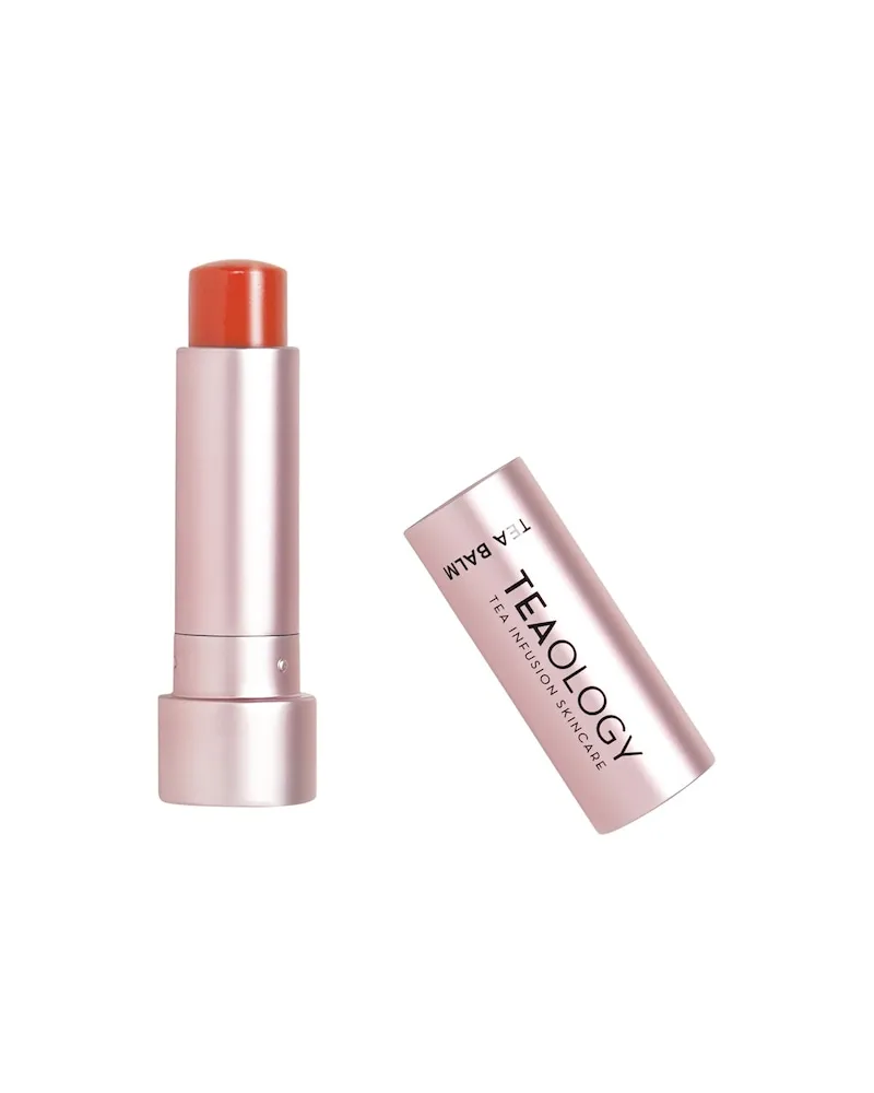 Tea Infusion Skincare Pflege GesichtspflegeLip Balm Berry Tea 