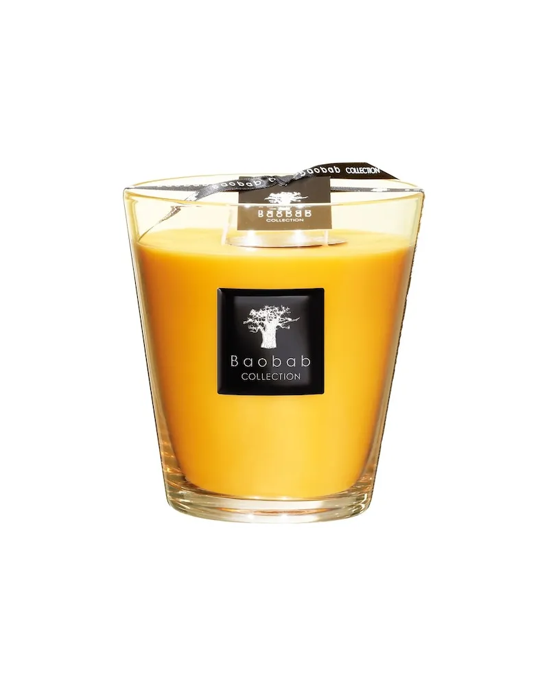 Baobab Collection Collection All-SeasonsDuftkerze Zanzibar Spices Max 16 90,91 € / 1 kg 