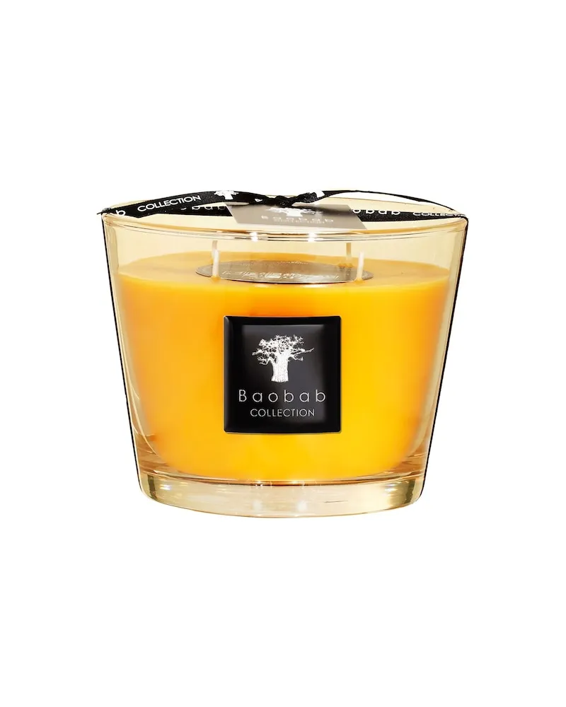 Baobab Collection Collection All-SeasonsDuftkerze Zanzibar Spices Max 16 90,91 € / 1 kg 