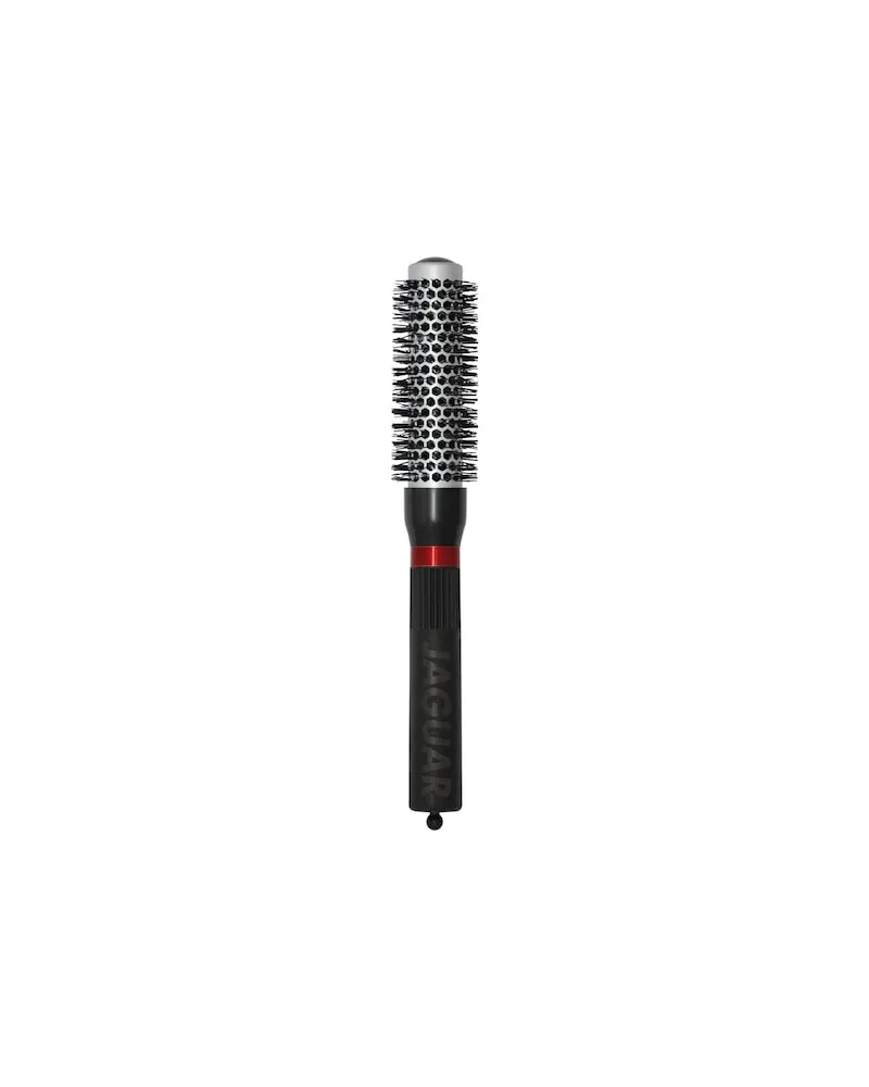 Jaguar Haarstyling BuerstenT 310 17,73 