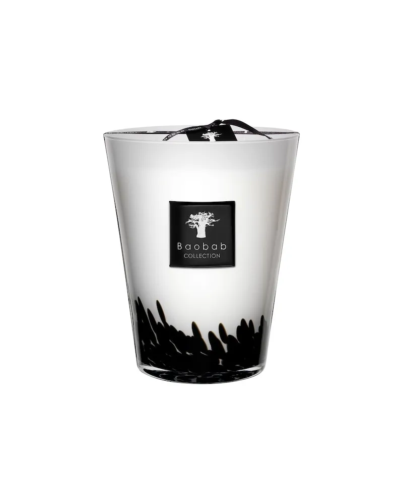 Baobab Collection Collection FeathersDuftkerze Feathers Black Max 24 68,33 € / 1 kg 