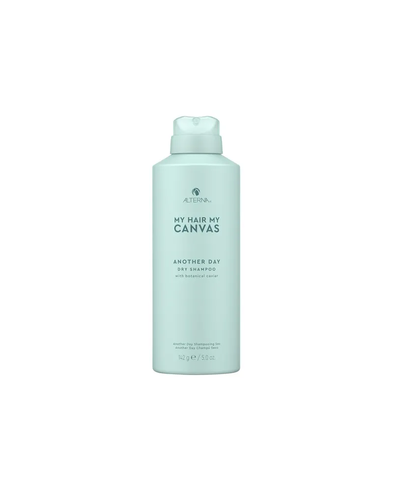 Alterna My-Hair-My-Canvas ExtendAnother Day Dry Shampoo 225,35 € / 1 kg 