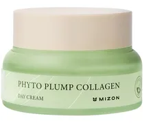 Gesichtspflege Gesichtscremes Phyto Plump Collagen Day Cream