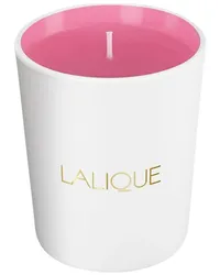 Lalique Kollektionen Les Compositions Parfumées Pink ParadiseCandle 