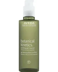 Aveda Skincare Reinigen Botanical KineticsPurifying Gel Cleanser 