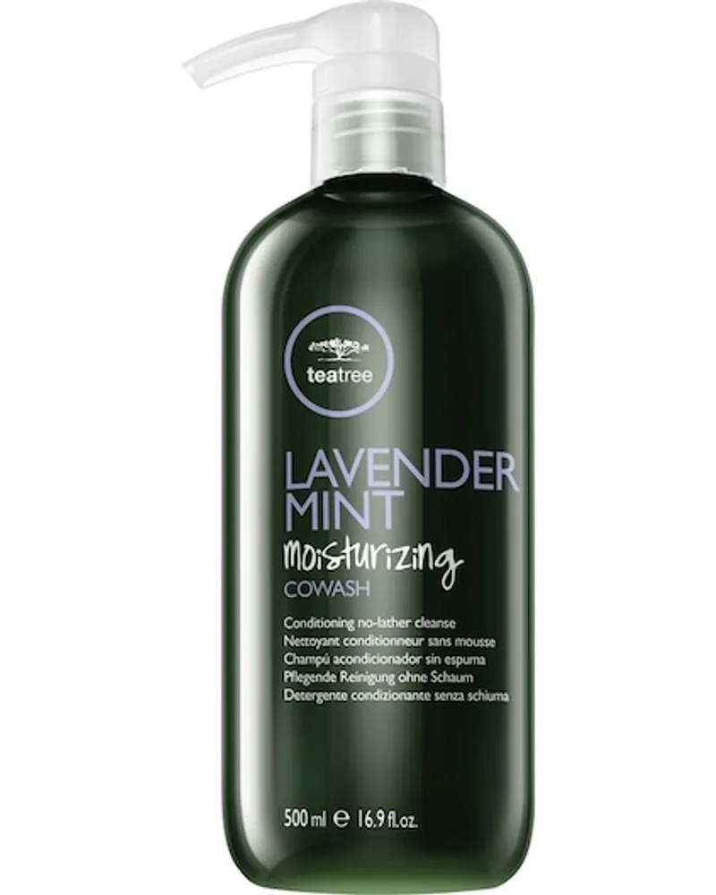 Paul Mitchell Haarpflege Tea Tree Lavender Mint Moisturizing Cowash 