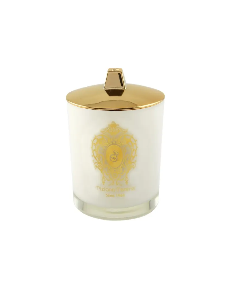 Tiziana Terenzi Tiziana-Terenzi Home DuftkerzenKirké 644,29 € / 1 kg 