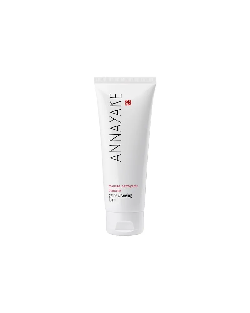 Annayake Pflege ReinigungGentle Cleansing Foam 426,67 € / 1 l 