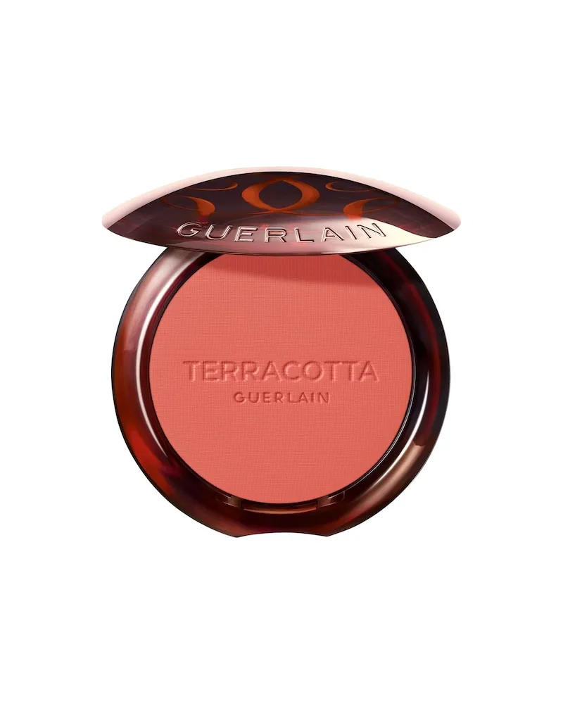 Guerlain Make-up TerracottaBlush 01 Light Pink 