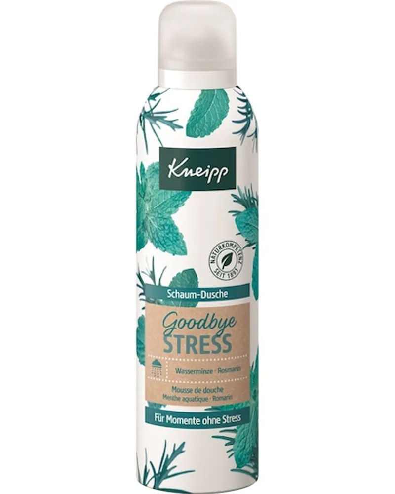 Kneipp Pflege Duschpflege Schaum-Dusche Goodbye Stress 