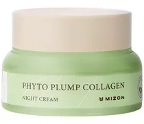 Gesichtspflege Gesichtscremes Phyto Plump Collagen Night Cream