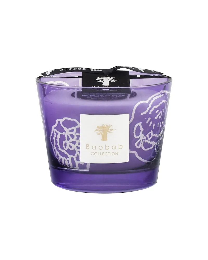 Baobab Collection Home Scented-CandlesKerze Roses Dark 220,00 € / 1 kg 