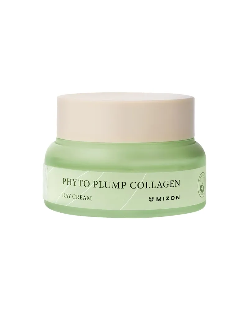 Mizon Gesichtspflege GesichtscremesPhyto Plump Collagen Day Cream 518,40 € / 1 l 