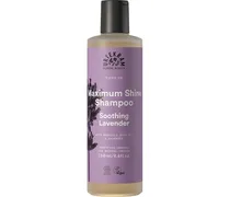 Pflege Soothing Lavender Maximum Shine Shampoo