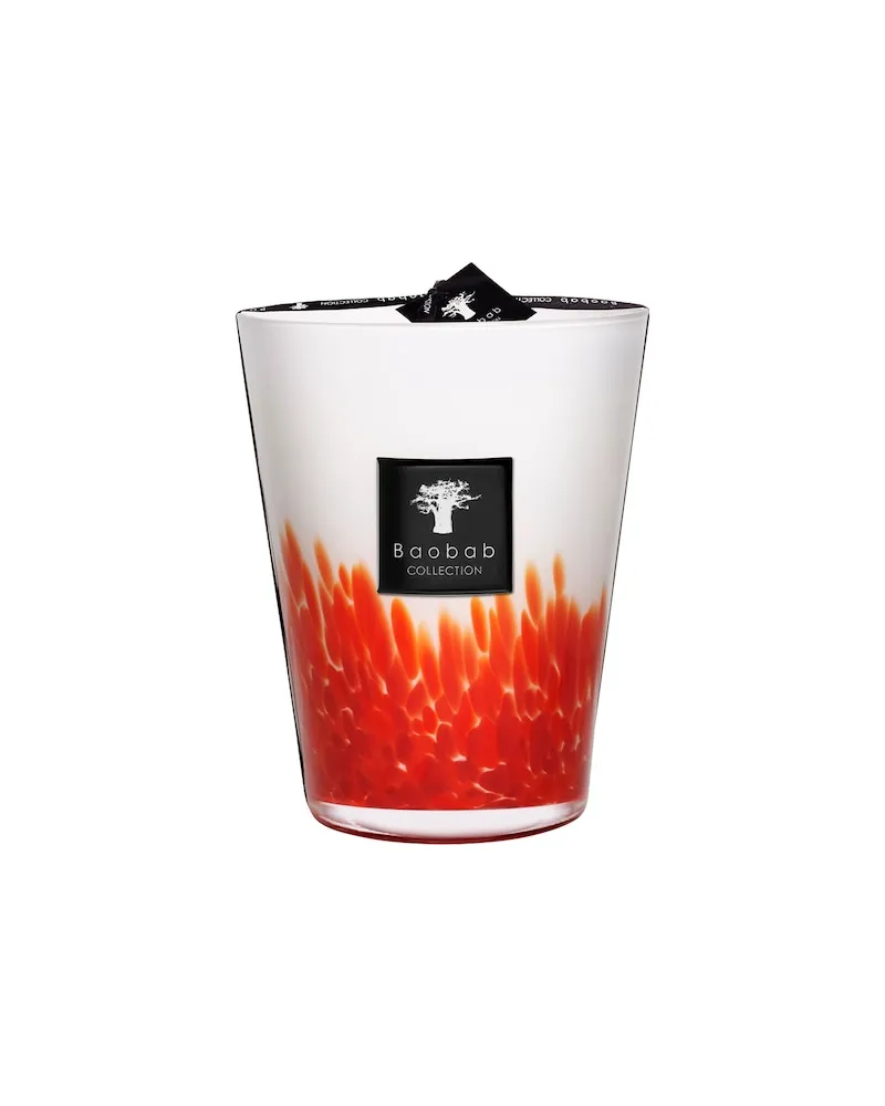 Baobab Collection Collection FeathersDuftkerze Feathers Masaai Max 24 68,33 € / 1 kg 