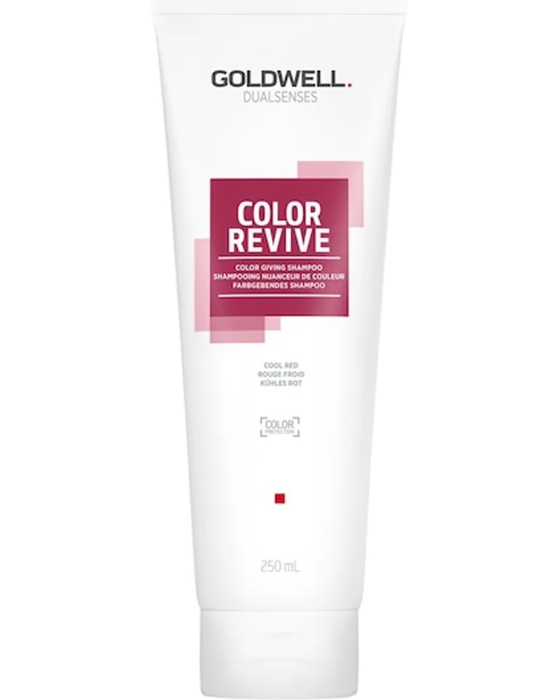 Goldwell Dualsenses Color Color Giving Shampoo Copper Kühles Blond 