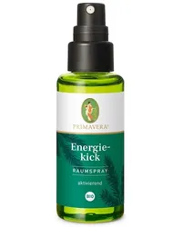 Primavera Raumbeduftung Raumsprays Energiekick Raumspray 