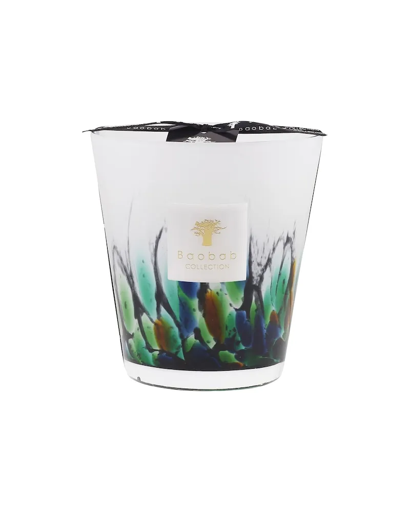Baobab Collection Home Scented-CandlesAmazonia Max 16 145,45 € / 1 kg 