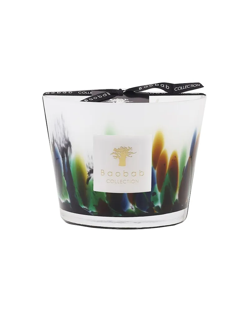 Baobab Collection Home Scented-CandlesAmazonia Max 16 145,45 € / 1 kg 