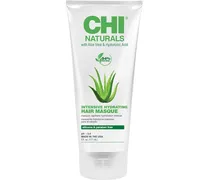Haarpflege Naturals with Aloe Vera Intensive Hydrating Hair Masque