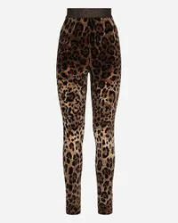 Dolce & Gabbana Leggings aus Chenille-Jacquard Leomuster Mehrfarbig