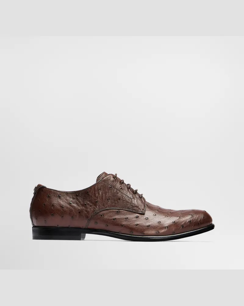Dolce & Gabbana Derby-schuhe Aus Straußenleder - Mann Schnürschuhe Braun Braun