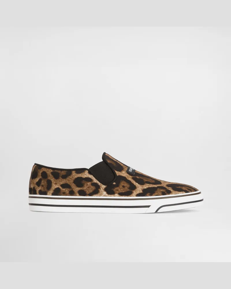 Dolce & Gabbana Sneaker Dg Sailing Aus Canvas Mit Leo-print - Mann Sneakers Animalprint Print