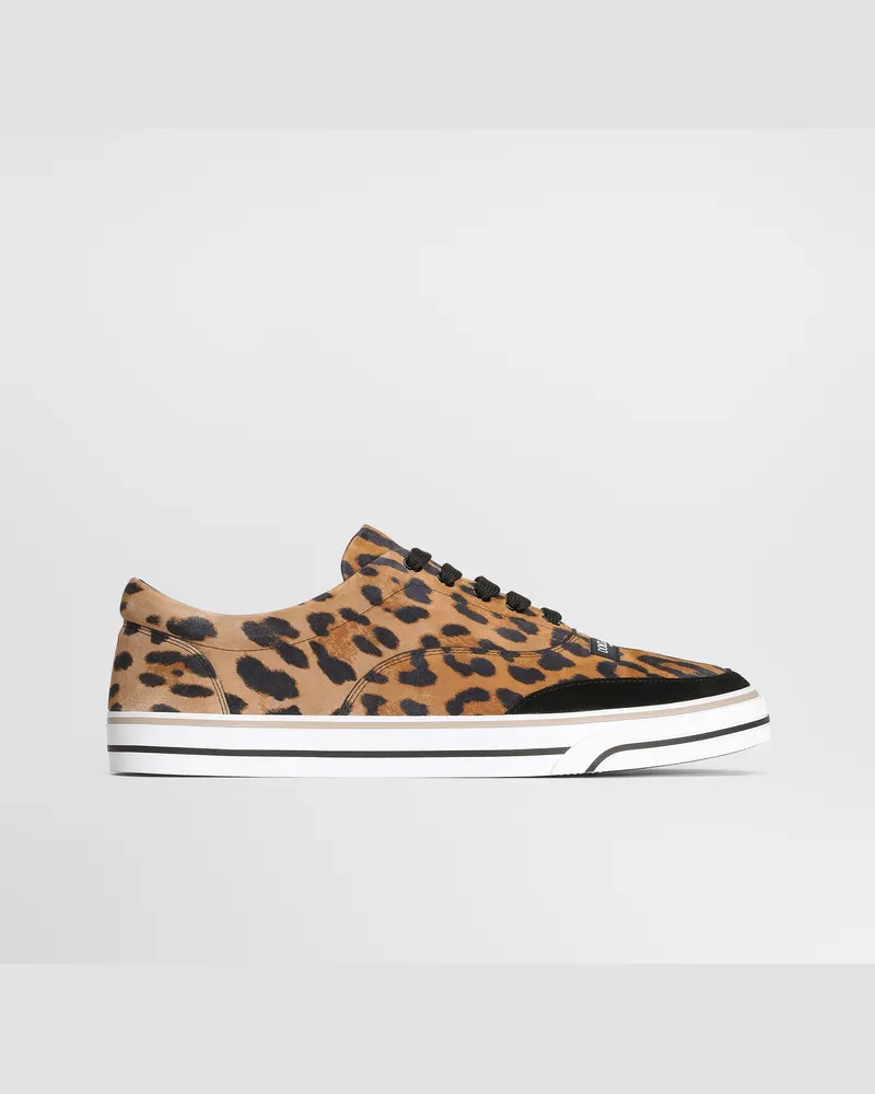 Dolce & Gabbana Sneaker Dg Sailing Aus Kalbsleder Mit Leo-print - Mann Sneakers Drucken Drucken
