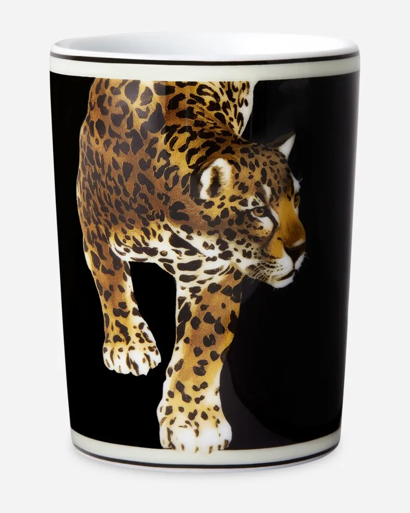 Dolce & Gabbana Porcelain Water Glass - Wassergläser Mehrfarbig Mehrfarbig
