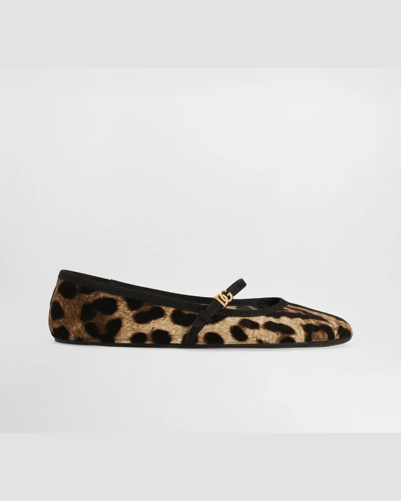 Dolce & Gabbana Ballerina Aus Bedrucktem Samt - Frau Flat Animalprint Drucken