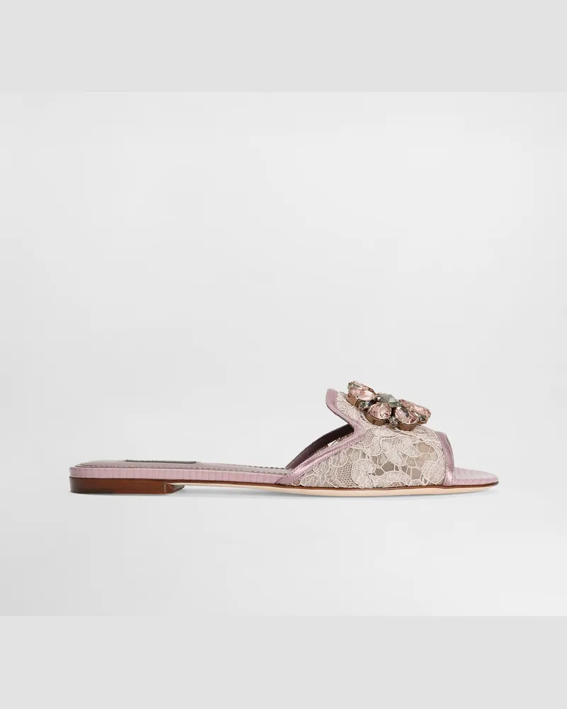 Dolce & Gabbana Sandale Aus Spitze Mit Kristallen - Frau Pantoletten Und Mules Fard Fard