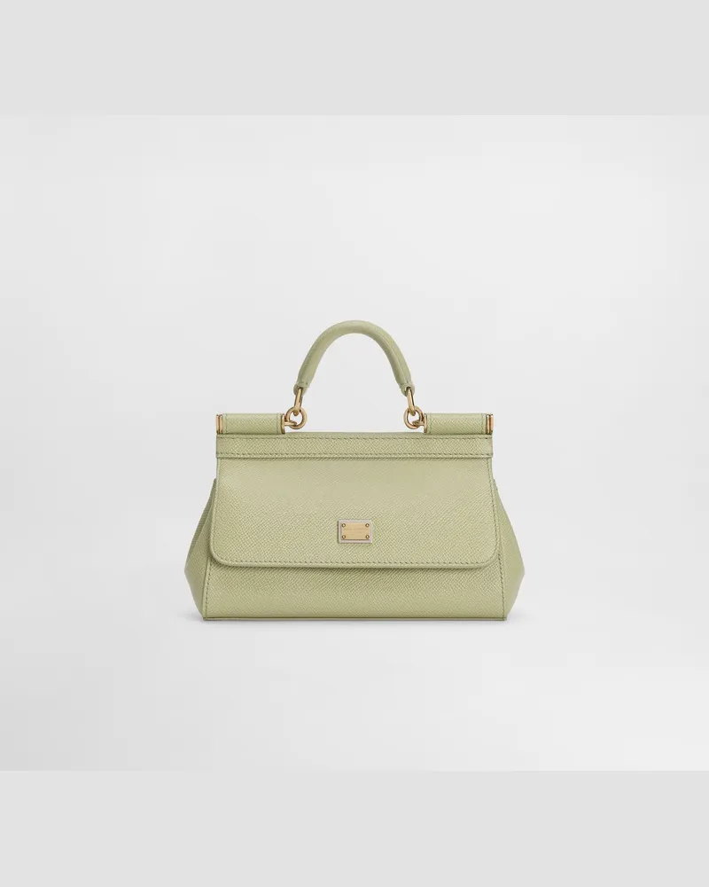 Dolce & Gabbana Borsa A Mano - Frau Collection Green Green