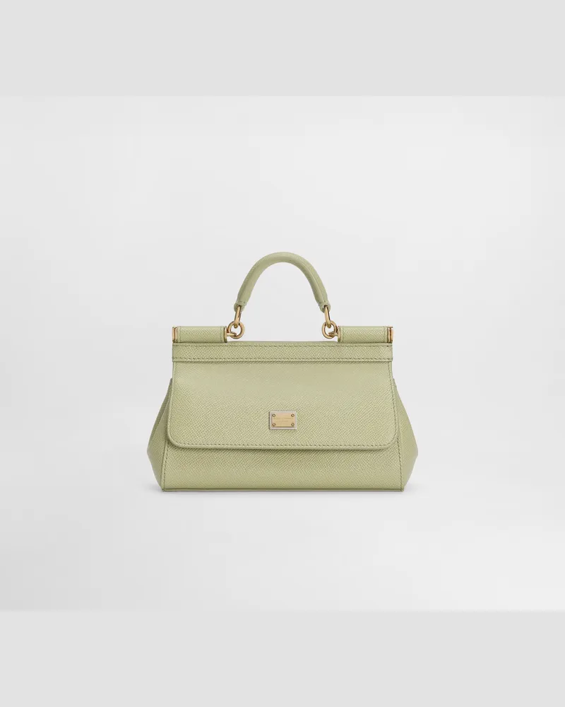 Dolce & Gabbana Borsa A Mano - Frau Collection Grün Grün