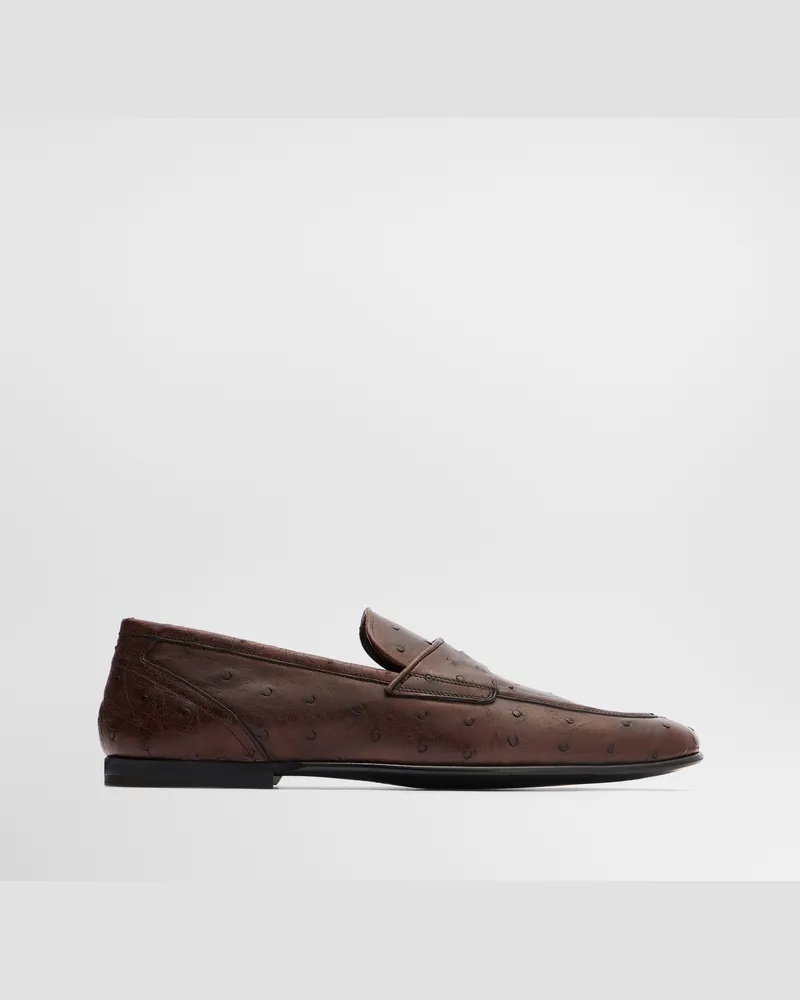 Dolce & Gabbana Slipper Aus Straußenleder - Mann Driver Und Mokassins Braun Braun
