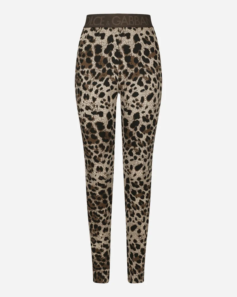Dolce & Gabbana Leggings Aus Jersey-jacquard Leomuster - Frau Hosen Und Shorts Mehrfarbig Viskose Mehrfarbig