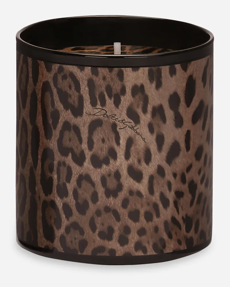 Dolce & Gabbana Duftkerze - Patchouli - Kerzen Im Glas Mehrfarbig Mehrfarbig