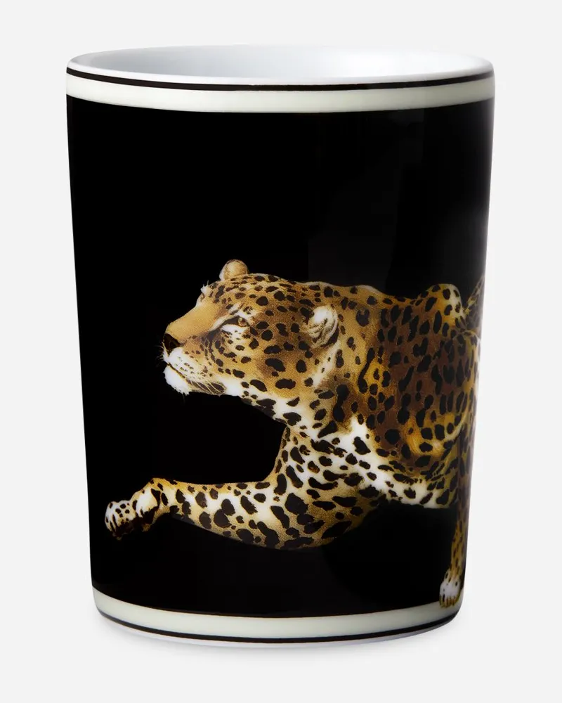 Dolce & Gabbana Porcelain Water Glass - Wassergläser Mehrfarbig Mehrfarbig