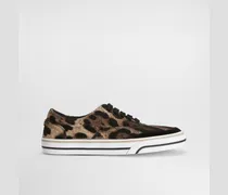 Dg Sailing Sneakers In Printed Canvas - Frau Sneakers Animalprint