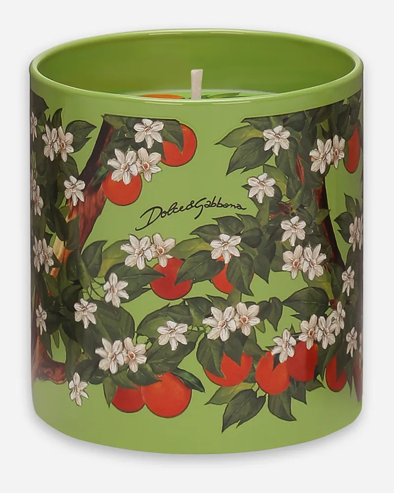 Dolce & Gabbana Duftkerze – Sizilianische Orange - Kerzen Im Glas Mehrfarbig Mehrfarbig