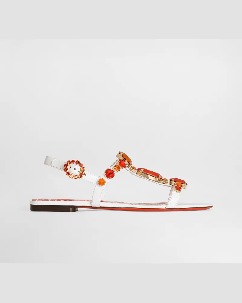 Dolce & Gabbana Sandalo - Frau Sandalen Und Wedges Multicolor Multicolor