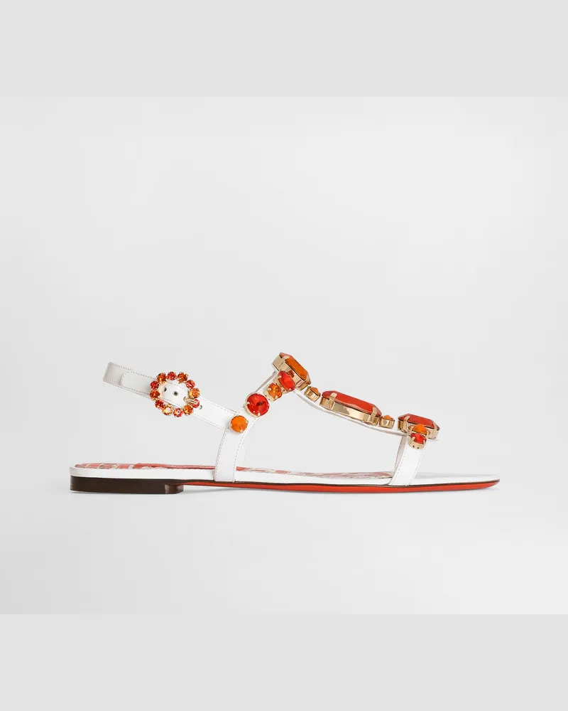 Dolce & Gabbana Sandalo - Frau Sandalen Und Wedges Mehrfarbig Mehrfarbig