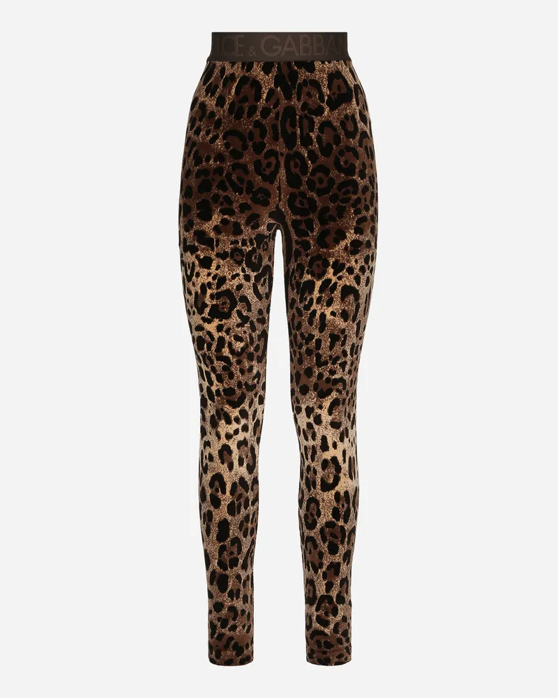 Dolce & Gabbana Leggings Aus Chenille-jacquard Leomuster - Frau Hosen Und Shorts Mehrfarbig Baumwolle Mehrfarbig